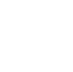 BUILDING YOUR VISION